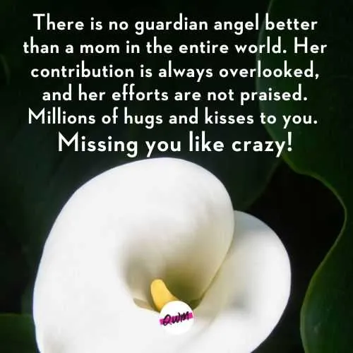death anniversary messages for a friends mother